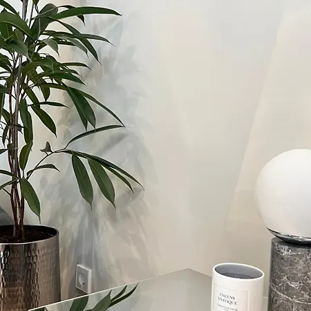 The Place With History In Renaissance Building *