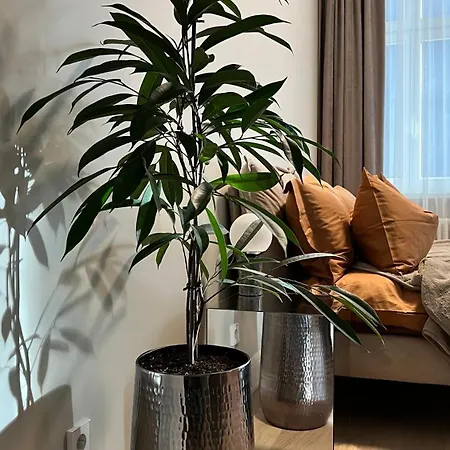 Διαμέρισμα The Place With History In Renaissance Building *