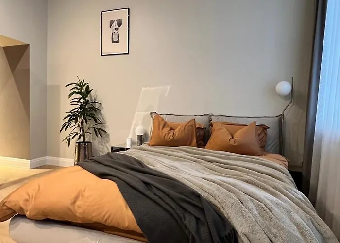 The Place With History In Renaissance Building