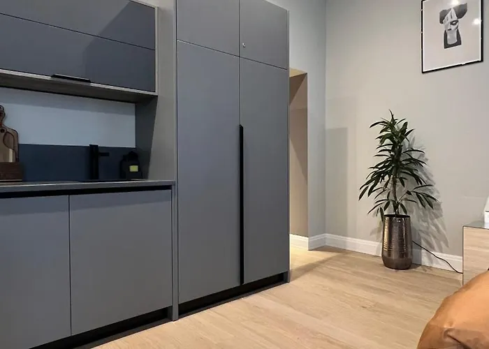 The Place With History In Renaissance Building Dzīvoklis