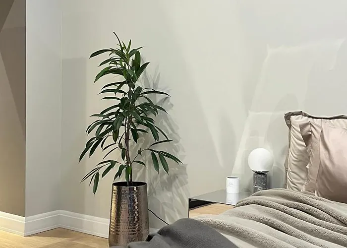 The Place With History In Renaissance Building Riga