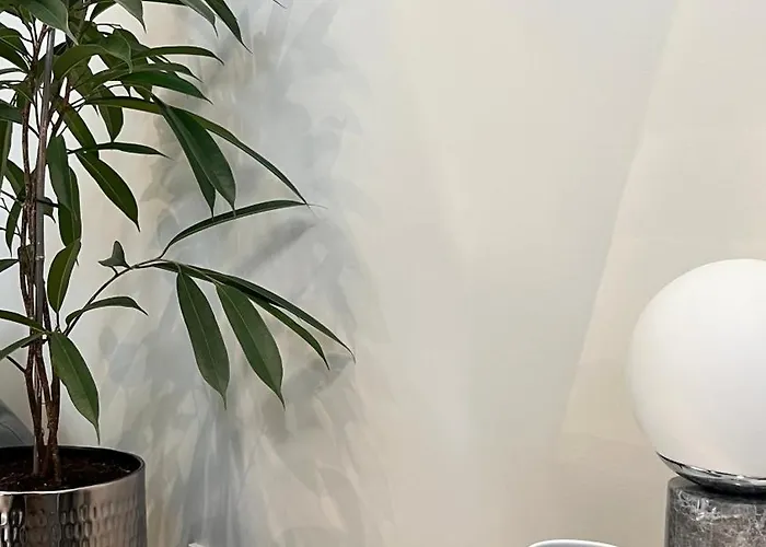 The Place With History In Renaissance Building *