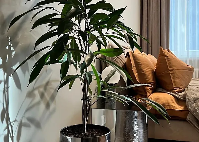 Dzīvoklis The Place With History In Renaissance Building *