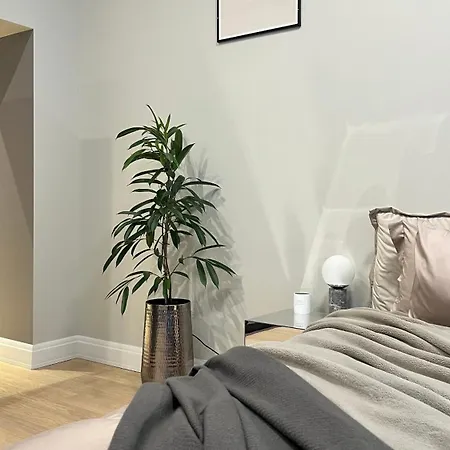 The Place With History In Renaissance Building リガ